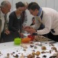 Pilzberatung mit Hansjörg Beyer Hansjörg Beyer berät, welche Pilze giftig sind und welche man essen kann. Archiv-Foto: G. Hohlstein, BGBM