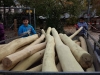 Die Schüler luden das Holz ab, ... Foto: Winnig-Schiedel
