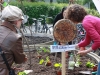 Vor der Passage konnten Freiwillige sich in Urban Gardening ausprobieren.