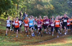 Volks-Crosslauf Foto Karl-Heinz Flucke