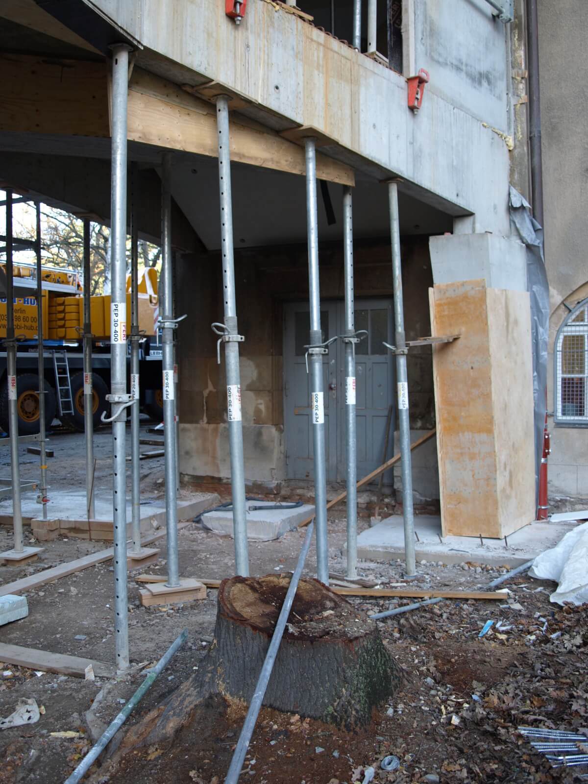 „Geknickte“ Schule: Neubau des Arndt-Gymnasium musste alter Eiche ausweichen