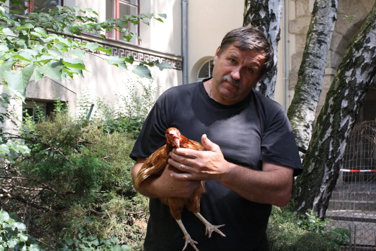 Auf’s Huhn gekommen: Hausmeister Hermann Karnitzscky hält Hühner an der Grundschule am Stadtpark Steglitz