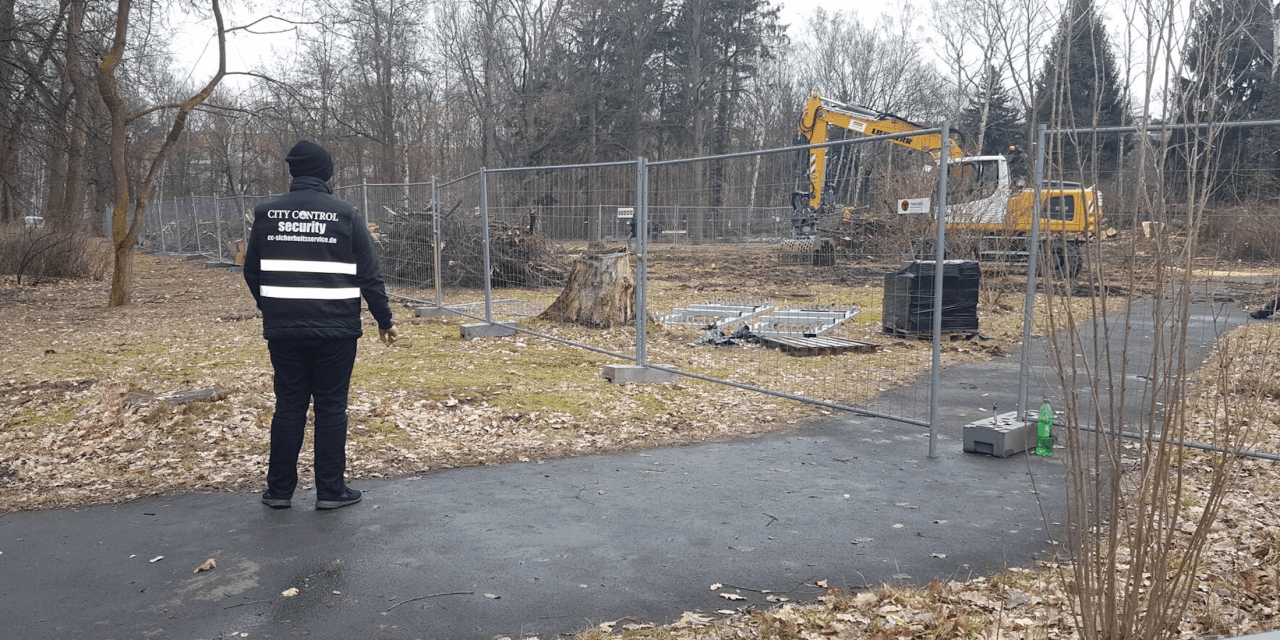 Proteste am Leonorenpark: Baumfällungen in Lankwitz begonnen