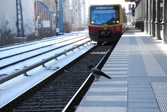 Umsteigen bitte! Am Bahnhof Wannsee wird in den Sommerferien gebaut