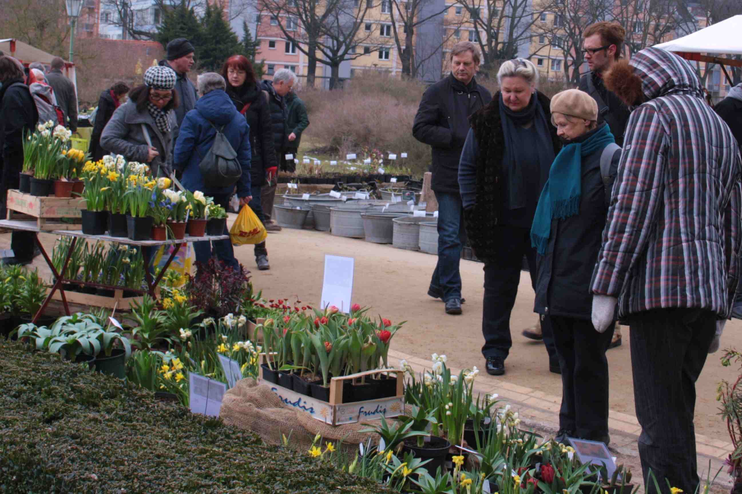 Zeit Fur Fruhling Staudenmarkt Im Botanischen Garten In