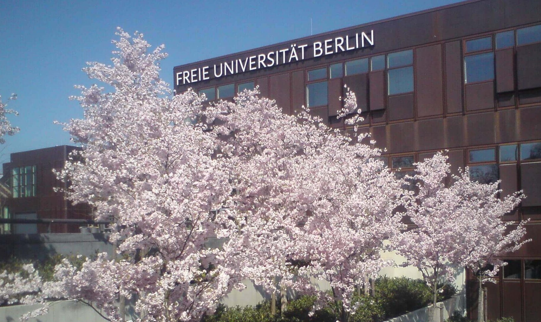 FU startet neues Einführungs und Orientierungsstudium
