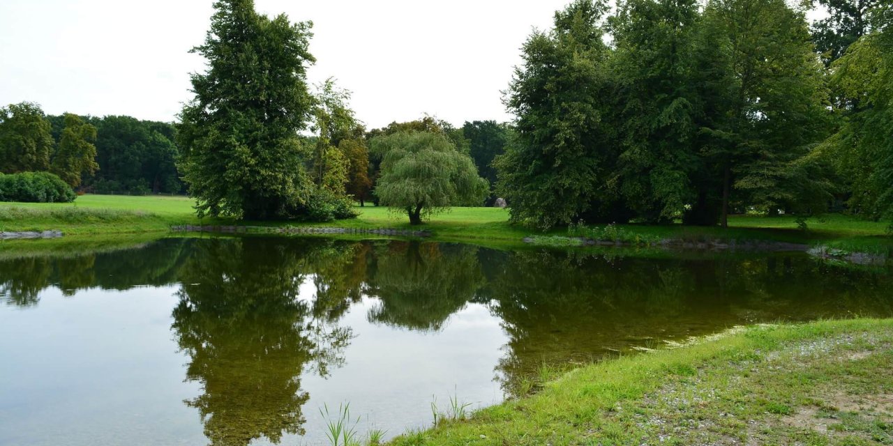 Schloßsee im Landschaftspark Glienicke ist nach 100 Jahren wieder da