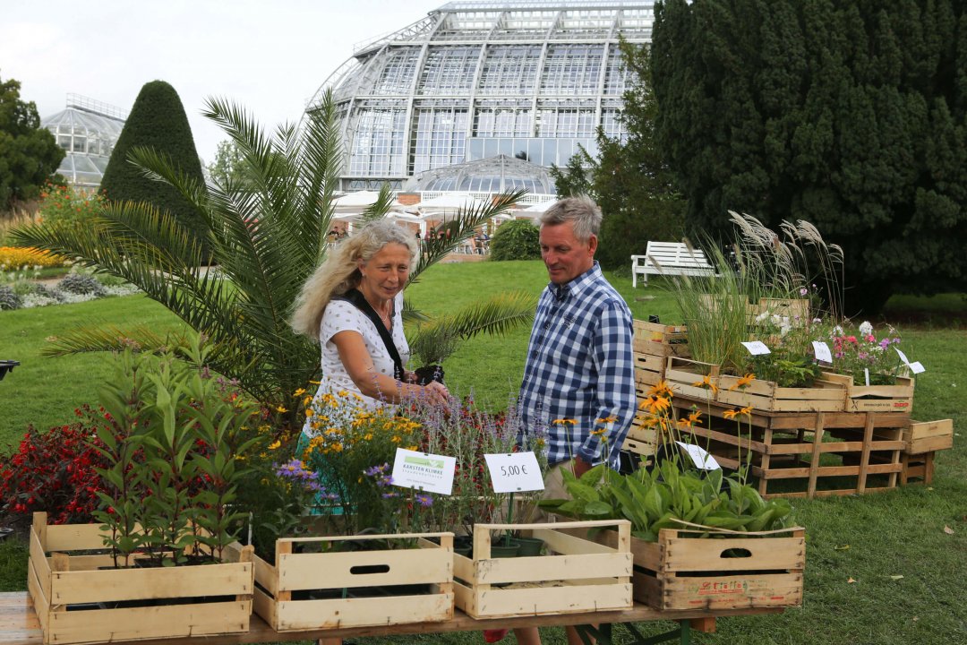 Staudenmarkt im Botanischen Garten StadtrandNachrichten