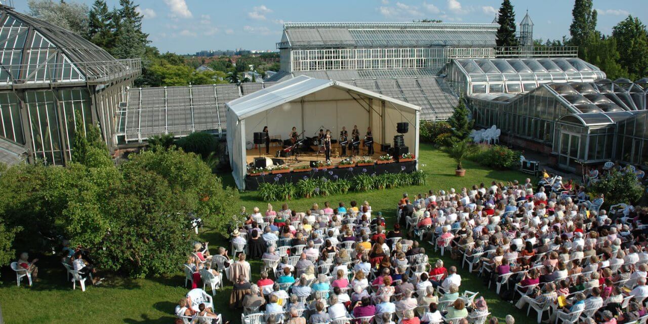 Open-Air-Musik und Seerosen: Sommerkonzerte im Botanischen Garten