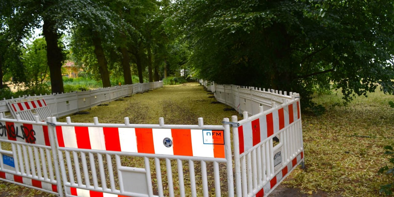 Keine Wildbienen gefunden: Fernradweg-Pläne für Gemeindepark Lankwitz bleiben bestehen