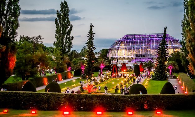 Spektakuläre Inszenierung: Botanischer Garten lädt wieder zur Botanischen Nacht ein
