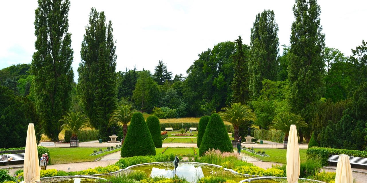 Botanischer Garten Berlin bereitet Öffnung vor