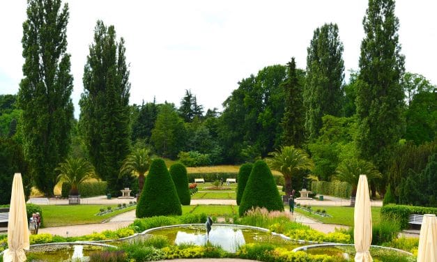 Botanischer Garten Berlin öffnet wieder am 5. Mai 2020