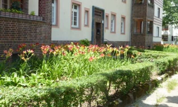 Denkmal des Monats – Lilien-, Hortensien- und Tulpenblöcke
