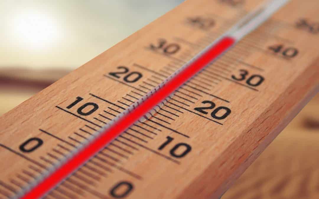 Tipps bei Hitze – Bezirksamt bietet Informationen & Tipps für heiße Tage
