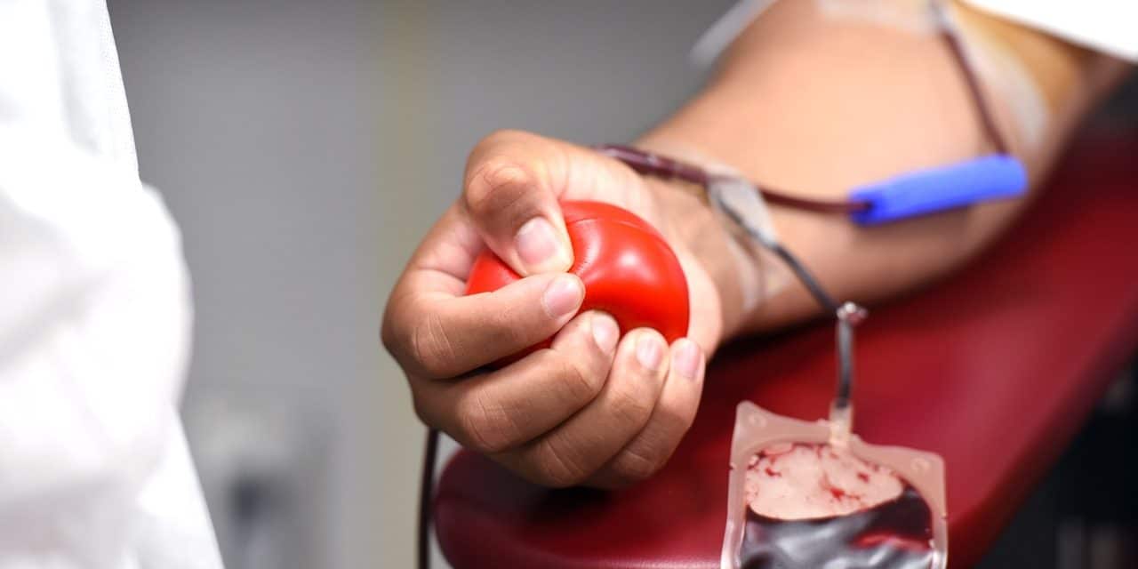 Blutspenden: Sondertermine vor Ostern