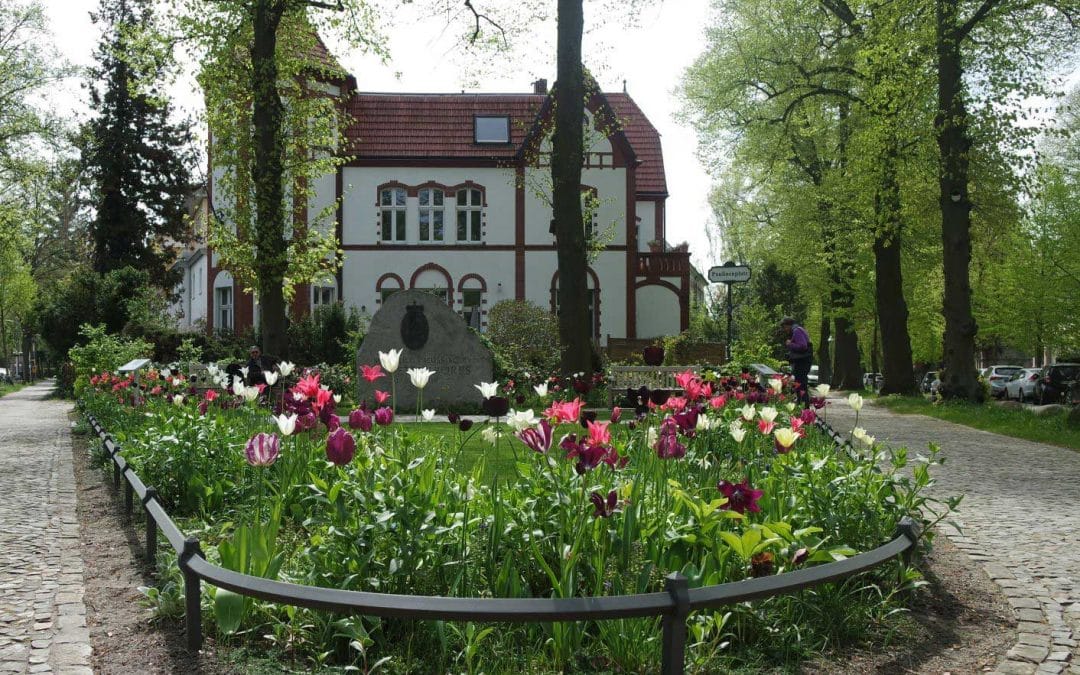 Musik und Kunst auf dem Paulinenplatz