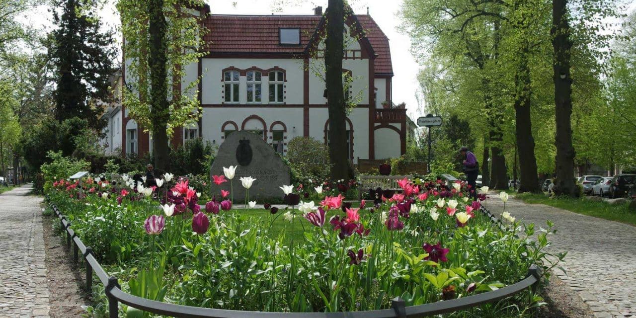 Musik und Kunst auf dem Paulinenplatz