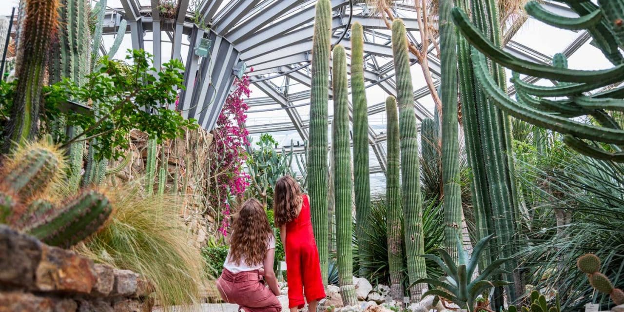 Kakteentage im Botanischen Garten