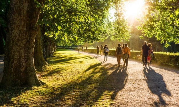 Spazierengehen im grünen Südwesten