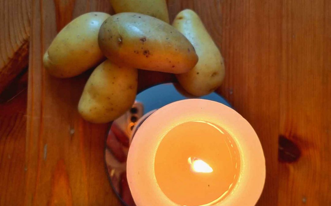 Event: Kartoffeln rösten im Gutshaus Lichterfelde